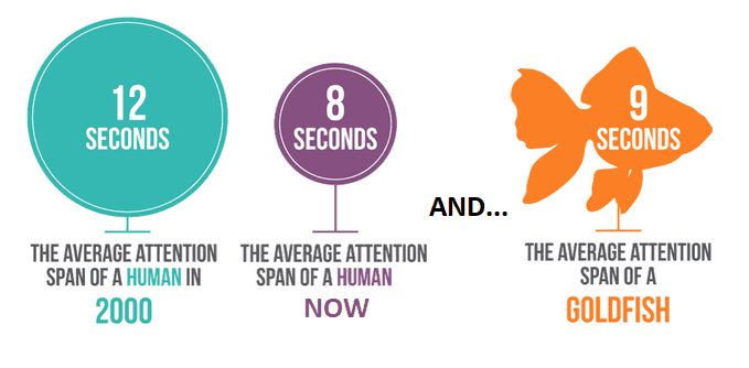 Human vs Goldfish Attention Span Research