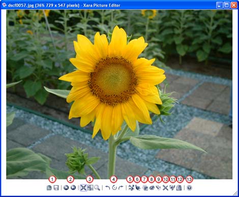 Xara Picture Editor