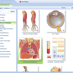 Focus on SmartDraw Healthcare Edition