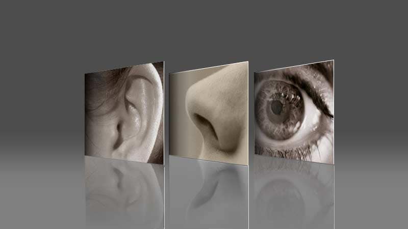 Reflection Effects in PowerPoint