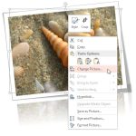 Change Picture in PowerPoint 2013 for Windows