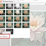 Artistic Effects for Pictures in PowerPoint 2013 for Windows