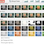 Changing Color of Pictures in PowerPoint 2013 for Windows