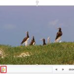 Learn PowerPoint 2013 for Windows: Add Bookmarks to Video Clips