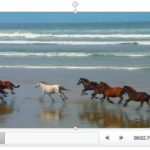 Learn PowerPoint 2013 for Windows: Advanced Video Options