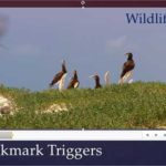 Learn PowerPoint 2013 for Windows: Animating Slide Objects While Media is Playing