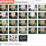 Learn PowerPoint 2013 for Windows: Artistic Effects for Pictures