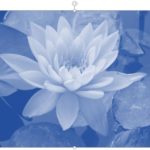 Learn PowerPoint 2013 for Windows: Changing Color of Pictures