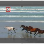 Learn PowerPoint 2013 for Windows: Crop Video