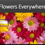 Learn PowerPoint 2013 for Windows: Eyedropper Option