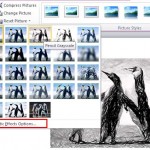 Learn PowerPoint 2010 for Windows: Artistic Effects for Pictures