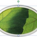 Learn PowerPoint 2011 for Mac: Picture Styles