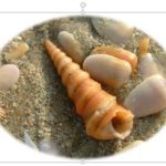 Learn PowerPoint 2013 for Windows: Picture Styles