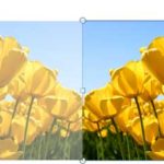 Learn PowerPoint 2010 for Windows: Resize, Rotate, and Flip Pictures