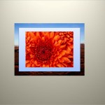 Learn PowerPoint 2010 for Windows: Reorder Pictures