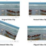 Learn PowerPoint 2013 for Windows: Resize, Rotate, and Flip Videos