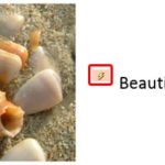 Learn PowerPoint 2013 for Windows: Trigger Animations