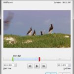 Learn PowerPoint 2010 for Windows: Trim Video Clips