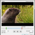Learn PowerPoint 2013 for Windows: Trim Video Clips