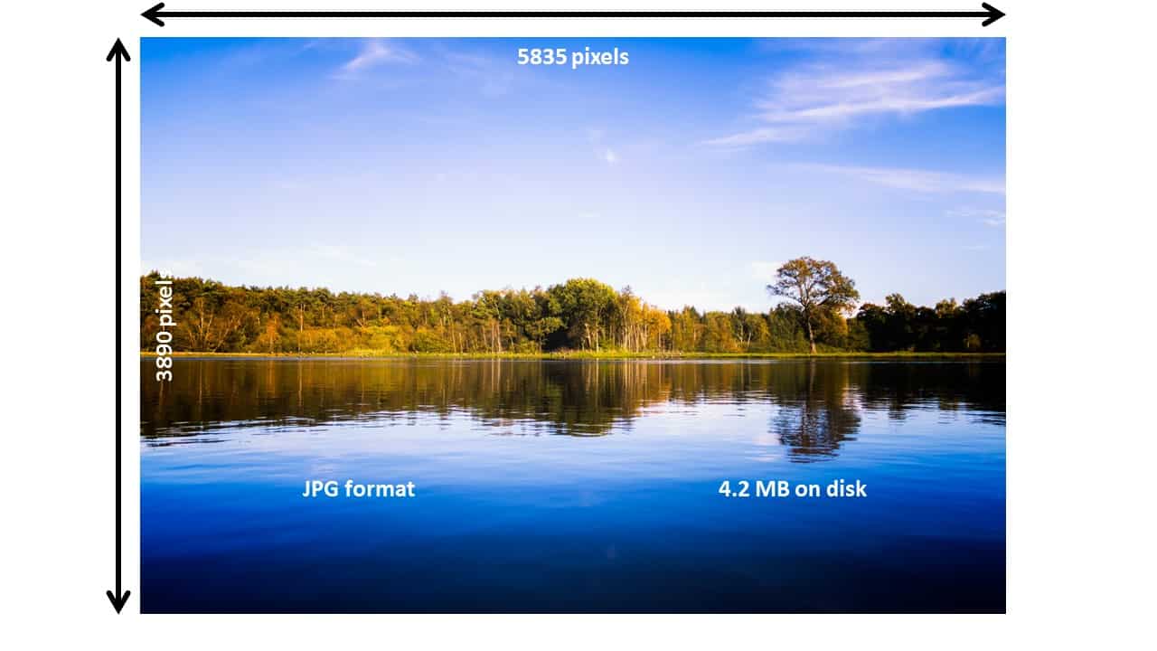 Image in JPG Format