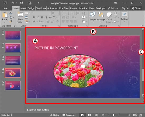 Slide Area in PowerPoint 2016 for Windows