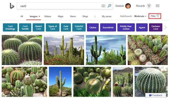 Insert Online Pictures in PowerPoint 2016 for Mac