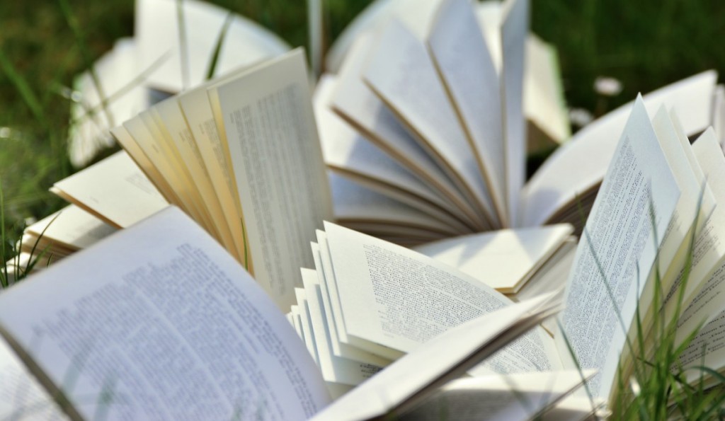 Win with Words Books 2241635