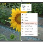 Change Picture in PowerPoint Online