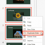 Duplicate Slides in PowerPoint Online