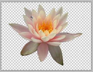 Photoshop Tutorials