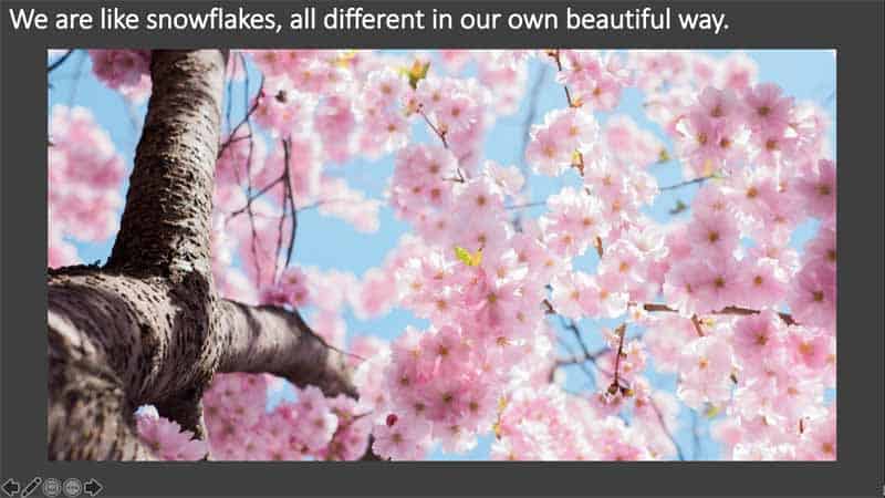 Slide Show View in PowerPoint 365 for Mac