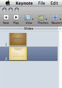 Slide Navigator View